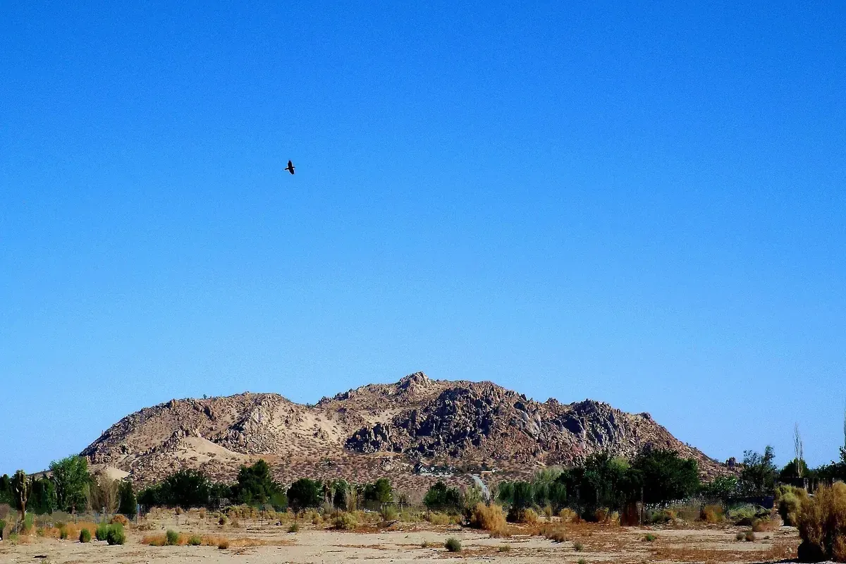 Rocky butte with Joshua trees and desert scrub on the eastern Antelope Valley floor near Lake Los Angeles CA