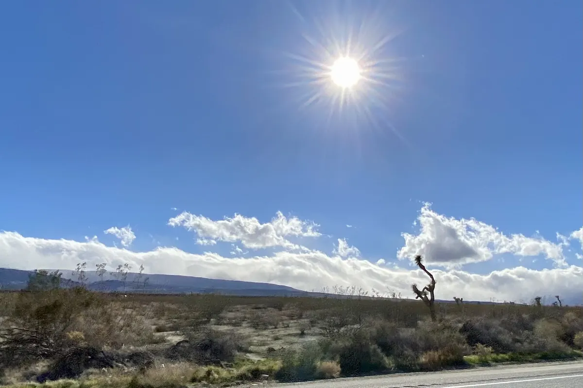 Pearblossom Highway crossing open desert with a Joshua tree and the Antelope Valley beyond